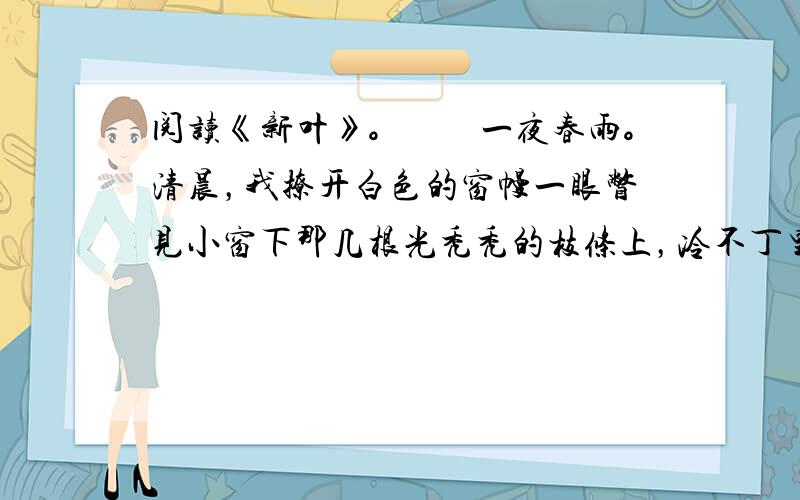 阅读《新叶》。　　一夜春雨。清晨，我撩开白色的窗幔一眼瞥见小窗下那几根光秃秃的枝条上，冷不丁里爆发出些淡绿、鹅黄色的嫩芽