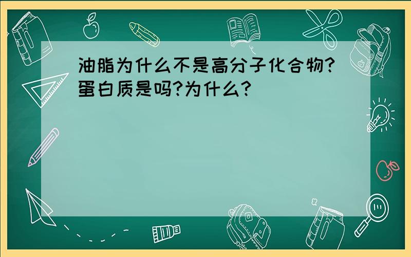 油脂为什么不是高分子化合物?蛋白质是吗?为什么?