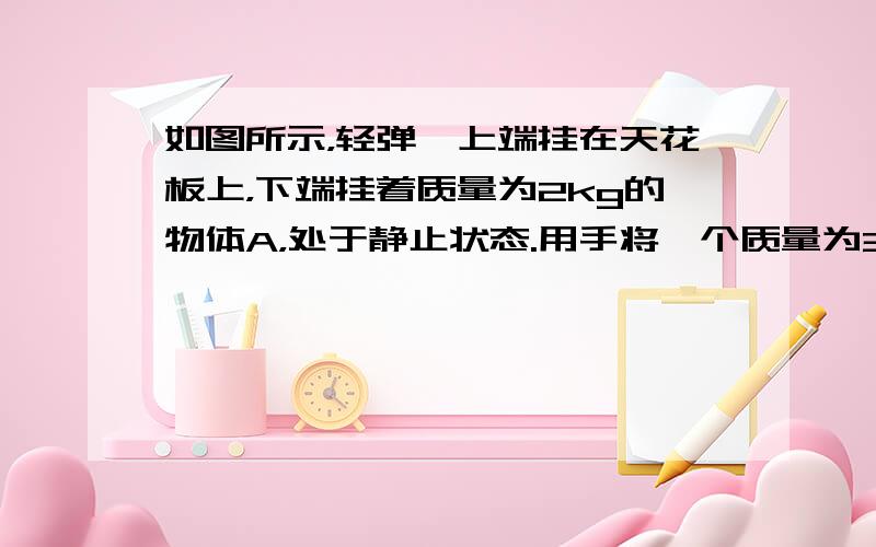 如图所示，轻弹簧上端挂在天花板上，下端挂着质量为2kg的物体A，处于静止状态.用手将一个质量为3kg物体B轻轻粘在A上，