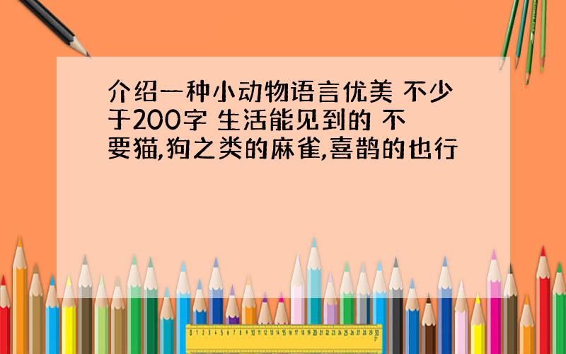 介绍一种小动物语言优美 不少于200字 生活能见到的 不要猫,狗之类的麻雀,喜鹊的也行