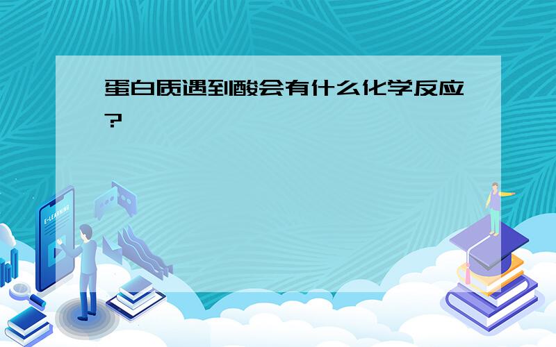 蛋白质遇到酸会有什么化学反应?