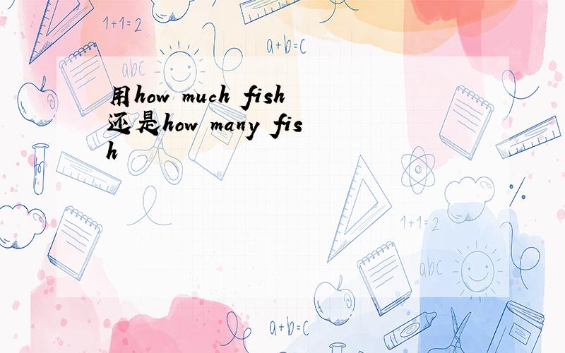 用how much fish还是how many fish