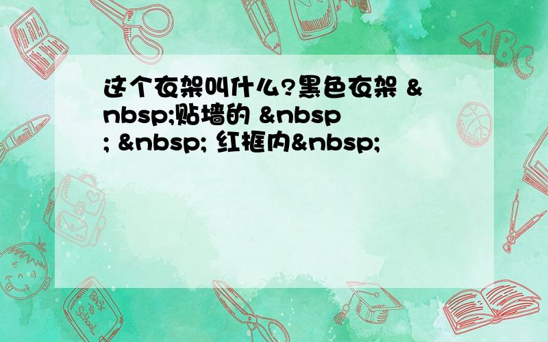 这个衣架叫什么?黑色衣架  贴墙的     红框内 