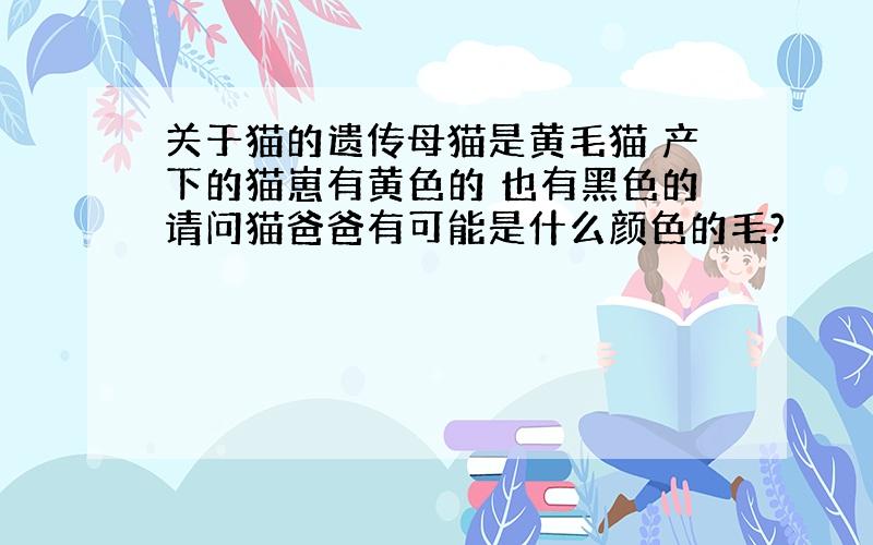 关于猫的遗传母猫是黄毛猫 产下的猫崽有黄色的 也有黑色的请问猫爸爸有可能是什么颜色的毛?