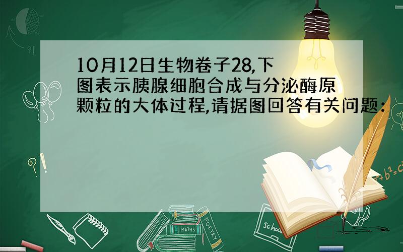 10月12日生物卷子28,下图表示胰腺细胞合成与分泌酶原颗粒的大体过程,请据图回答有关问题：