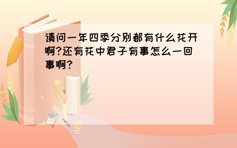 请问一年四季分别都有什么花开啊?还有花中君子有事怎么一回事啊?