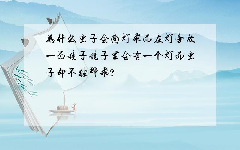 为什么虫子会向灯飞而在灯旁放一面镜子镜子里会有一个灯而虫子却不往那飞?