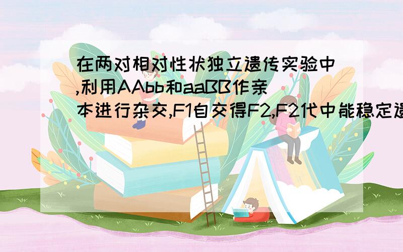 在两对相对性状独立遗传实验中,利用AAbb和aaBB作亲本进行杂交,F1自交得F2,F2代中能稳定遗传的个体和重组型个体