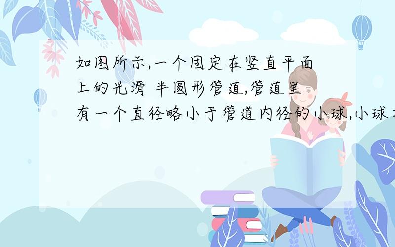 如图所示,一个固定在竖直平面上的光滑 半圆形管道,管道里有一个直径略小于管道内径的小球,小球在 管道