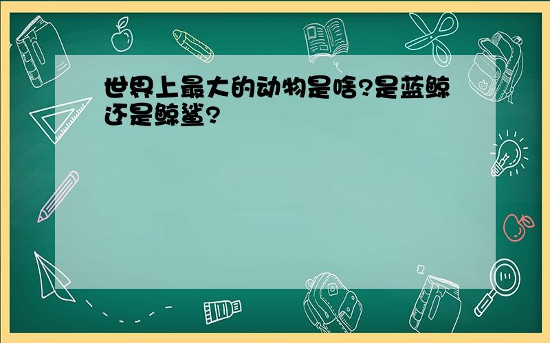 世界上最大的动物是啥?是蓝鲸还是鲸鲨?