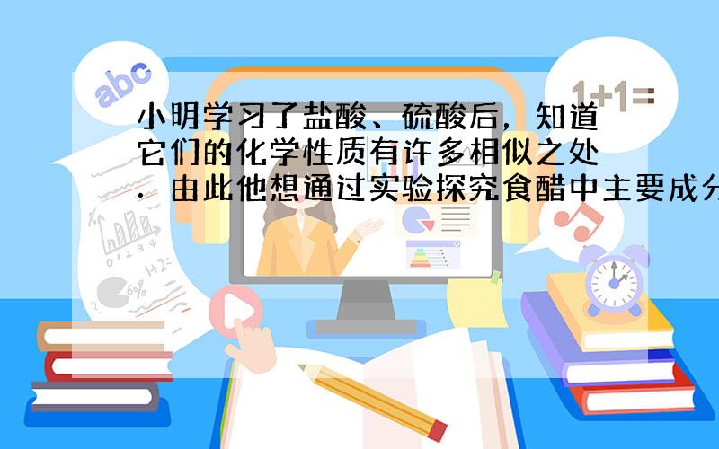 小明学习了盐酸、硫酸后，知道它们的化学性质有许多相似之处．由此他想通过实验探究食醋中主要成分--醋酸的化学性质．它的推测