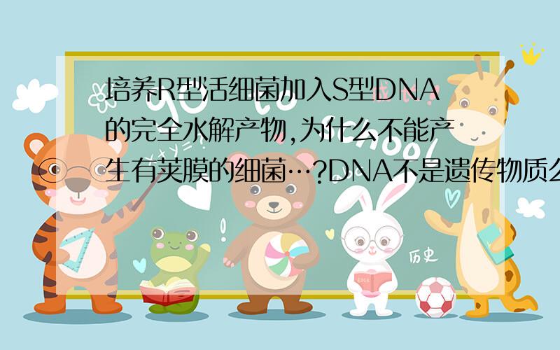 培养R型活细菌加入S型DNA的完全水解产物,为什么不能产生有荚膜的细菌…?DNA不是遗传物质么,那为什么