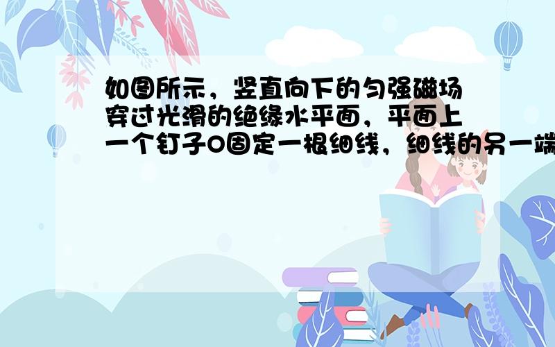 如图所示，竖直向下的匀强磁场穿过光滑的绝缘水平面，平面上一个钉子O固定一根细线，细线的另一端系一带电小球，小球在光滑水平