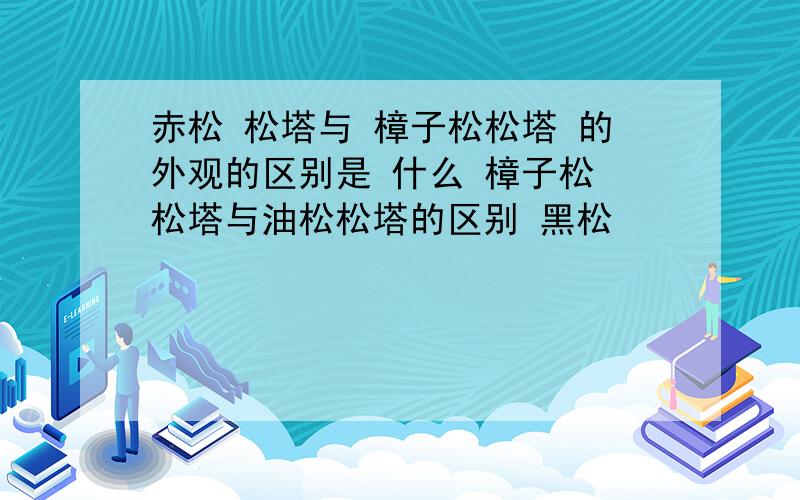 赤松 松塔与 樟子松松塔 的外观的区别是 什么 樟子松 松塔与油松松塔的区别 黑松