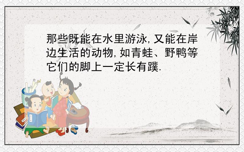 那些既能在水里游泳,又能在岸边生活的动物,如青蛙、野鸭等它们的脚上一定长有蹼.