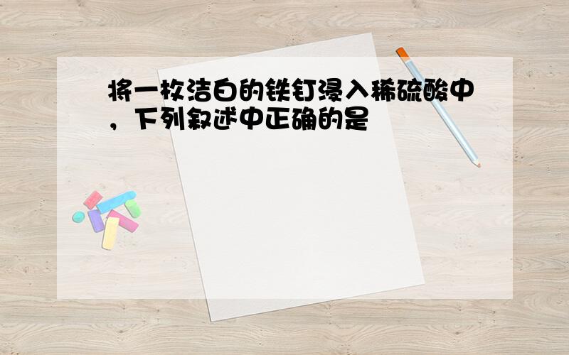 将一枚洁白的铁钉浸入稀硫酸中，下列叙述中正确的是