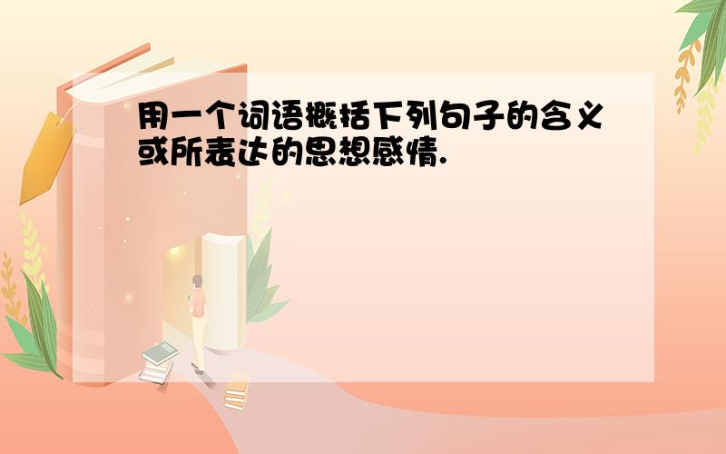 用一个词语概括下列句子的含义或所表达的思想感情.