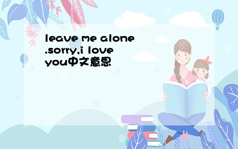 leave me alone.sorry,i love you中文意思