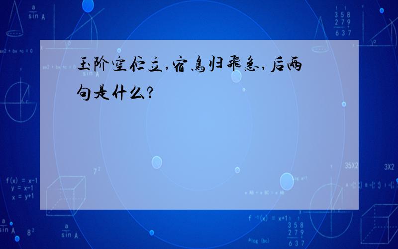 玉阶空伫立,宿鸟归飞急,后两句是什么?