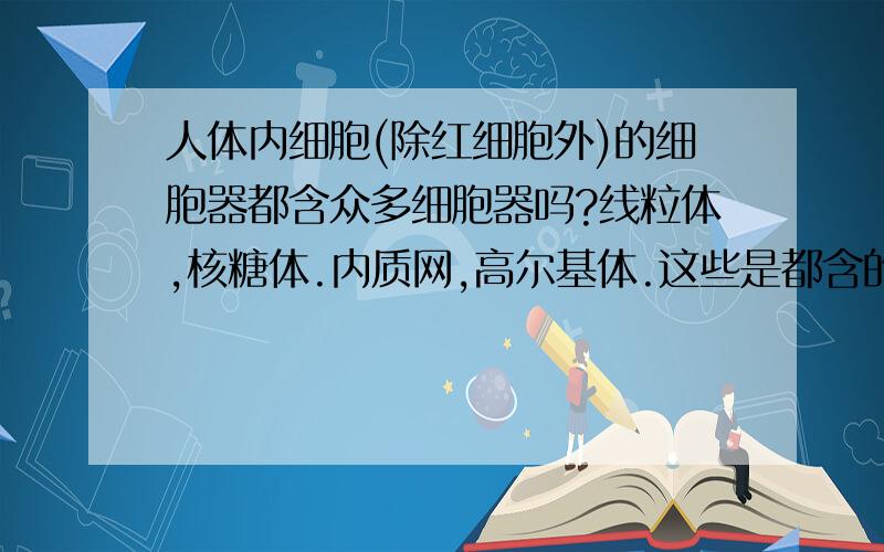 人体内细胞(除红细胞外)的细胞器都含众多细胞器吗?线粒体,核糖体.内质网,高尔基体.这些是都含的吗?神经细胞也含吗?