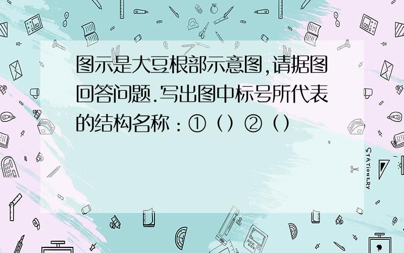 图示是大豆根部示意图,请据图回答问题.写出图中标号所代表的结构名称：①（）②（）