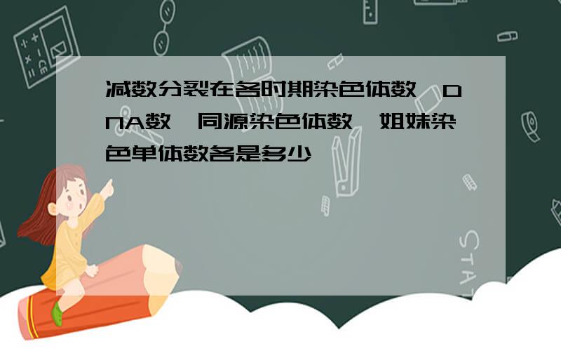 减数分裂在各时期染色体数、DNA数、同源染色体数、姐妹染色单体数各是多少