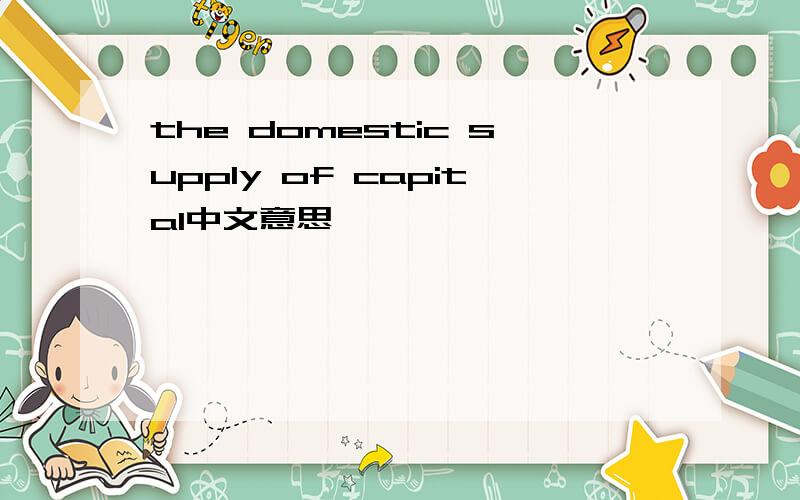 the domestic supply of capital中文意思