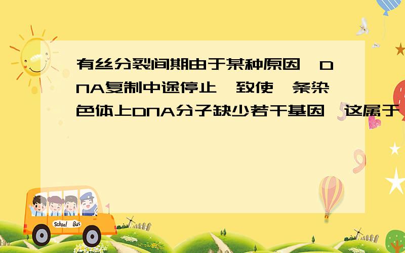 有丝分裂间期由于某种原因,DNA复制中途停止,致使一条染色体上DNA分子缺少若干基因,这属于——