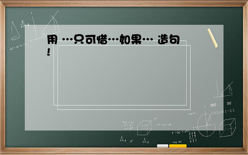 用 …只可惜…如果… 造句 !