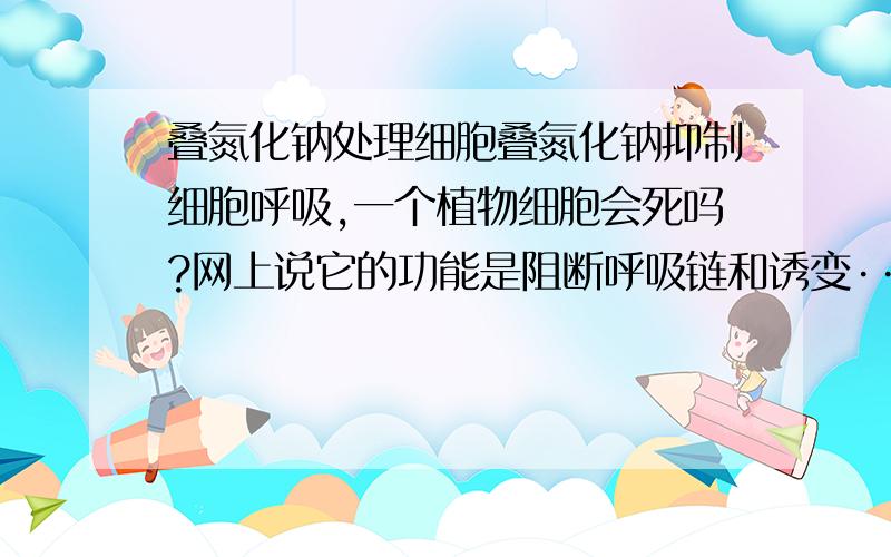 叠氮化钠处理细胞叠氮化钠抑制细胞呼吸,一个植物细胞会死吗?网上说它的功能是阻断呼吸链和诱变···