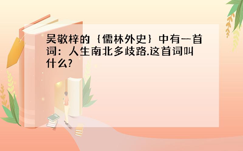 吴敬梓的｛儒林外史｝中有一首词：人生南北多歧路.这首词叫什么?