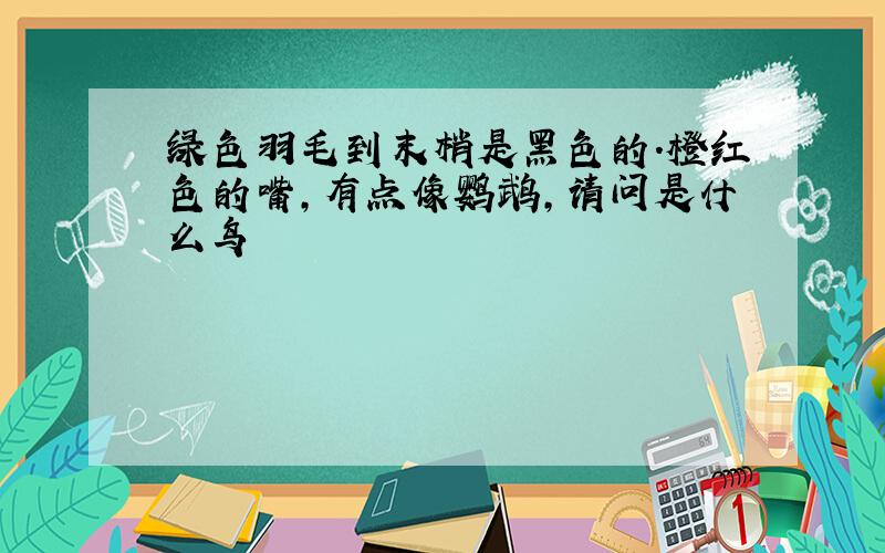 绿色羽毛到末梢是黑色的.橙红色的嘴,有点像鹦鹉,请问是什么鸟