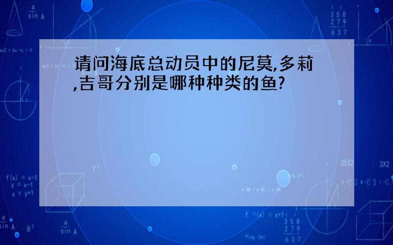 请问海底总动员中的尼莫,多莉,吉哥分别是哪种种类的鱼?