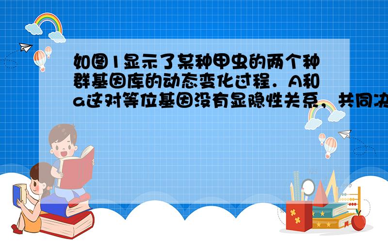 如图1显示了某种甲虫的两个种群基因库的动态变化过程．A和a这对等位基因没有显隐性关系，共同决定甲虫的体色，甲虫体色的基因