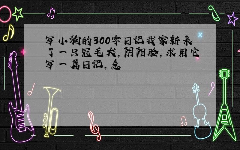 写小狗的300字日记我家新来了一只冠毛犬,阴阳脸,求用它写一篇日记,急