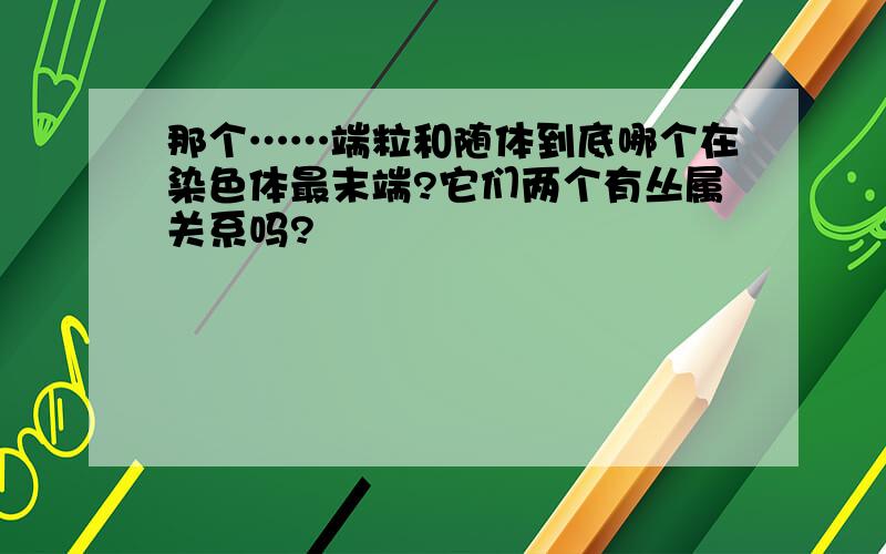 那个……端粒和随体到底哪个在染色体最末端?它们两个有丛属关系吗?