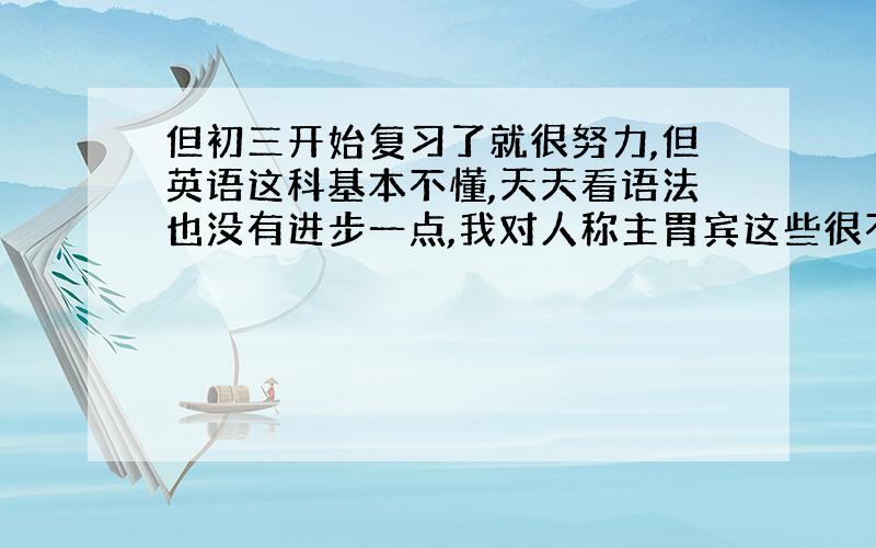 但初三开始复习了就很努力,但英语这科基本不懂,天天看语法也没有进步一点,我对人称主胃宾这些很不了解,英语考卷题目考什么我