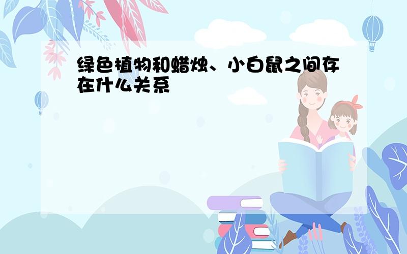 绿色植物和蜡烛、小白鼠之间存在什么关系