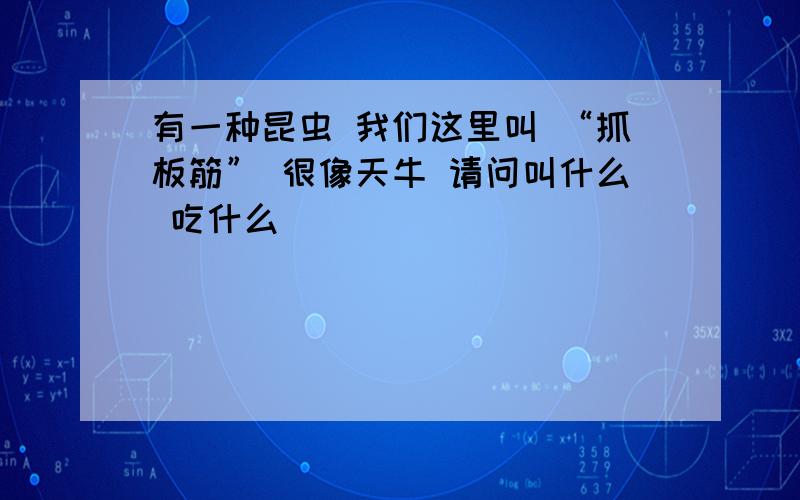 有一种昆虫 我们这里叫 “抓板筋” 很像天牛 请问叫什么 吃什么