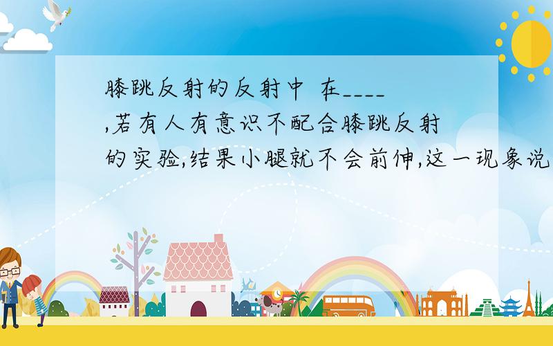 膝跳反射的反射中 在____,若有人有意识不配合膝跳反射的实验,结果小腿就不会前伸,这一现象说明了