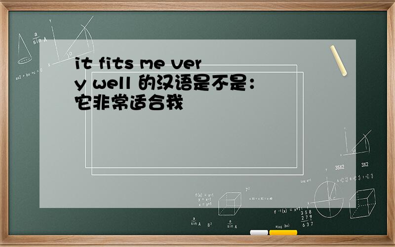 it fits me very well 的汉语是不是：它非常适合我