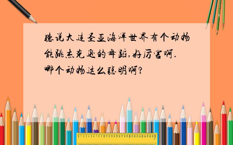 听说大连圣亚海洋世界有个动物能跳杰克逊的舞蹈,好厉害啊.哪个动物这么聪明啊?