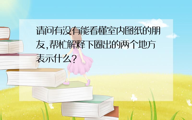 请问有没有能看懂室内图纸的朋友,帮忙解释下圈出的两个地方表示什么?