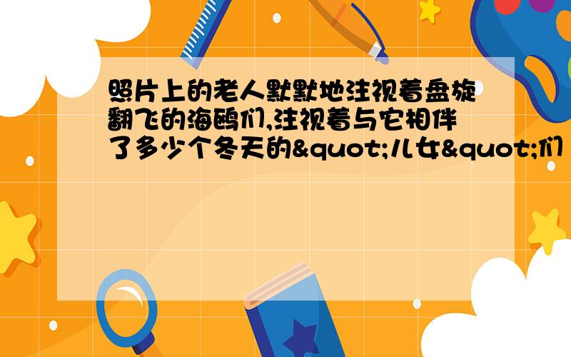 照片上的老人默默地注视着盘旋翻飞的海鸥们,注视着与它相伴了多少个冬天的"儿女"们