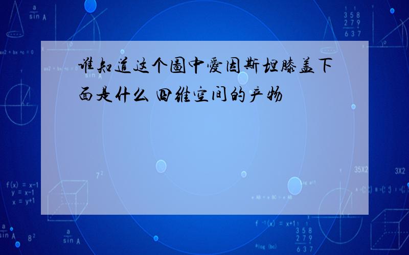 谁知道这个图中爱因斯坦膝盖下面是什么 四维空间的产物