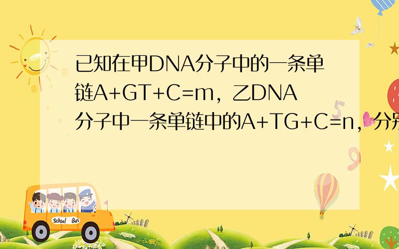 已知在甲DNA分子中的一条单链A+GT+C=m，乙DNA分子中一条单链中的A+TG+C=n，分别求甲、乙两DNA分子中各