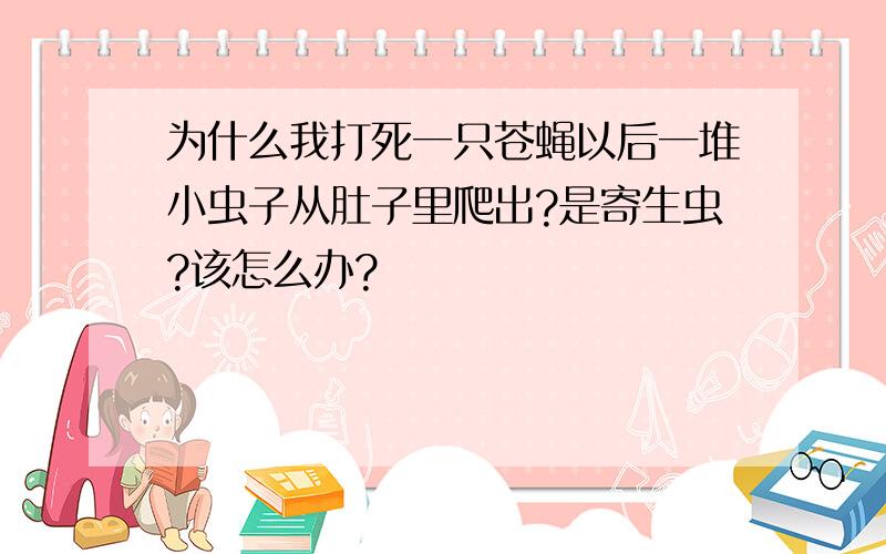 为什么我打死一只苍蝇以后一堆小虫子从肚子里爬出?是寄生虫?该怎么办?