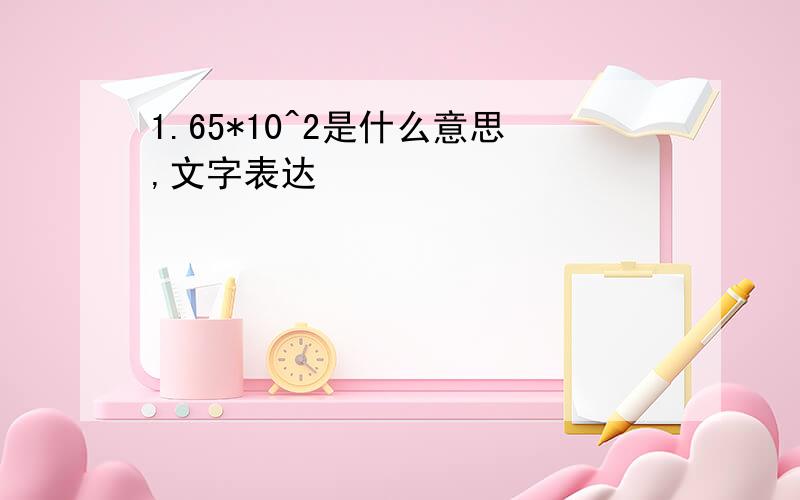 1.65*10^2是什么意思,文字表达