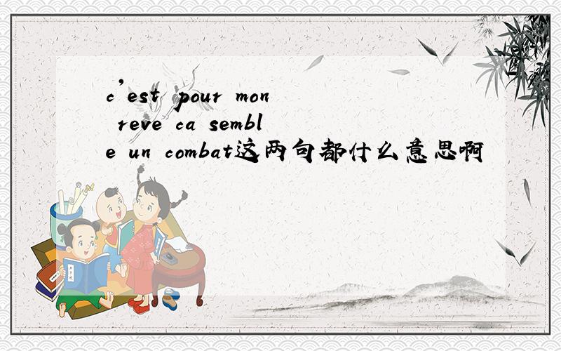 c'est pour mon reve ca semble un combat这两句都什么意思啊