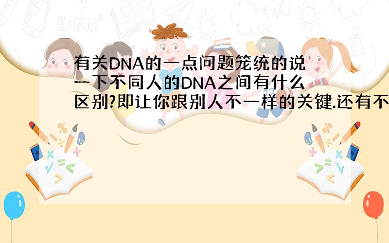 有关DNA的一点问题笼统的说一下不同人的DNA之间有什么区别?即让你跟别人不一样的关键.还有不同人的DNA序列不尽相同,